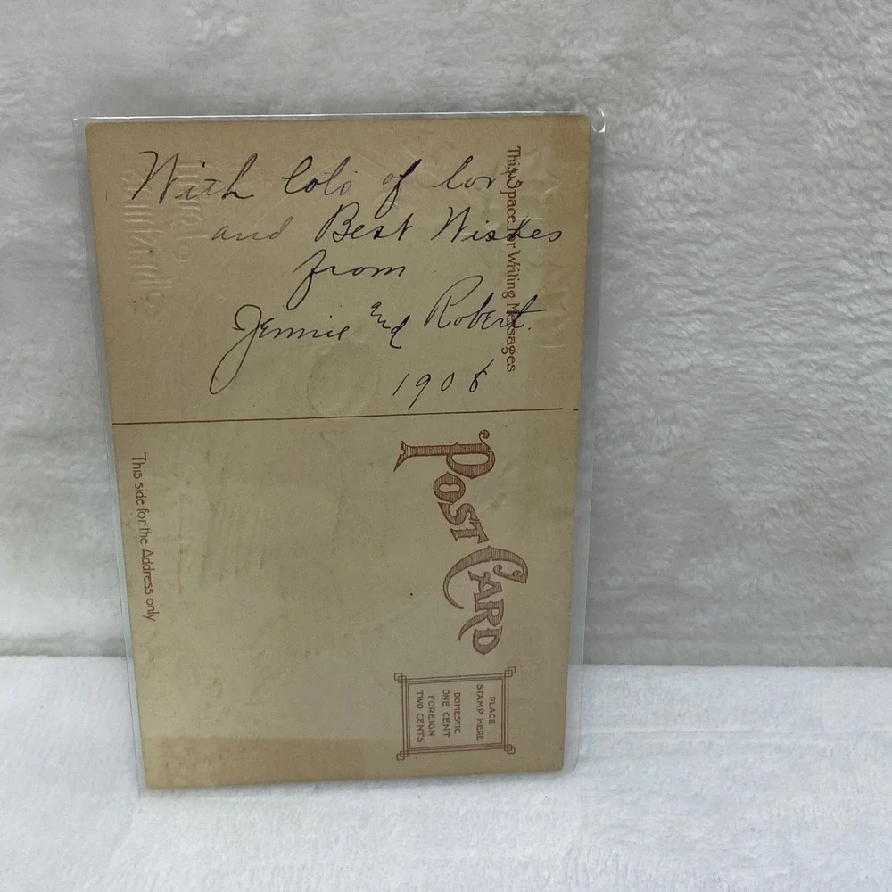Antique 1908 Christmas Postcard‎ Two Birds In Protective Sleeve No Postmark